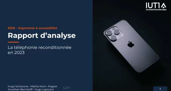 Rapport d’analyse d’ergonomie & accessibilité